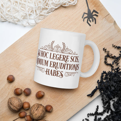 If You Can Read This You Have Too Much Education in Latin Mug - history buff gift by HistoHead