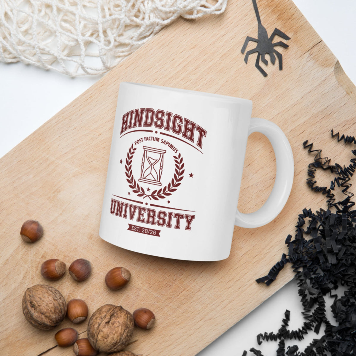 Hindsight University Mug - history buff gift by HistoHead