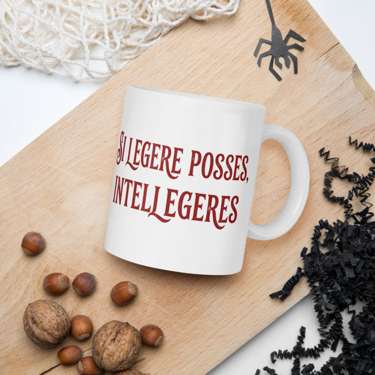 If You Could Read It You Would Understand in Latin Mug - history buff gift by HistoHead