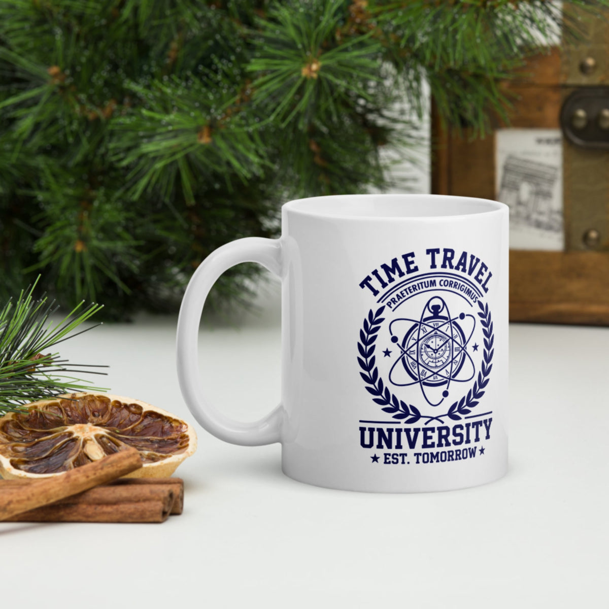 Time Travel University Mug - history buff gift by HistoHead