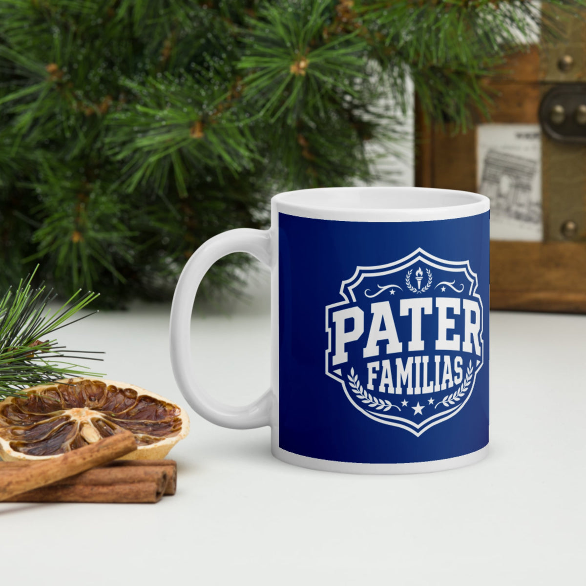 Pater Familias Latin Mug - history buff gift by HistoHead