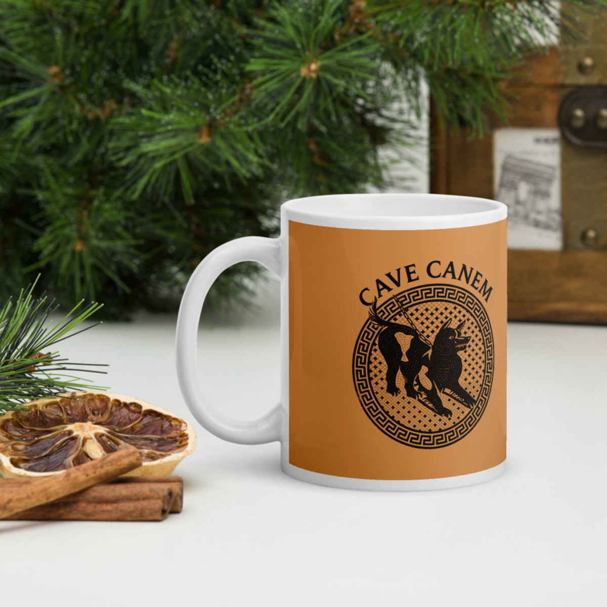 Cave Canem Mug - history buff gift by HistoHead