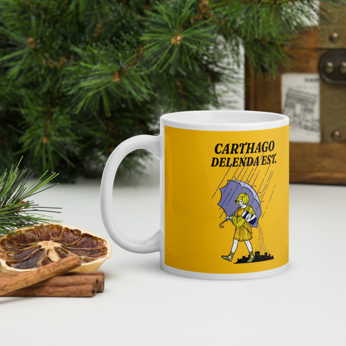 Carthago Delenda Est Salt Girl Mug - history buff gift by HistoHead