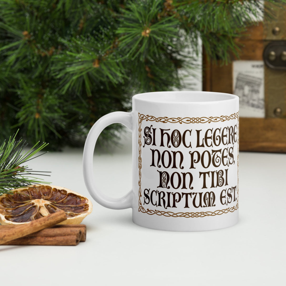 If You Can't Read This It's Not Written For You Mug - history buff gift by HistoHead