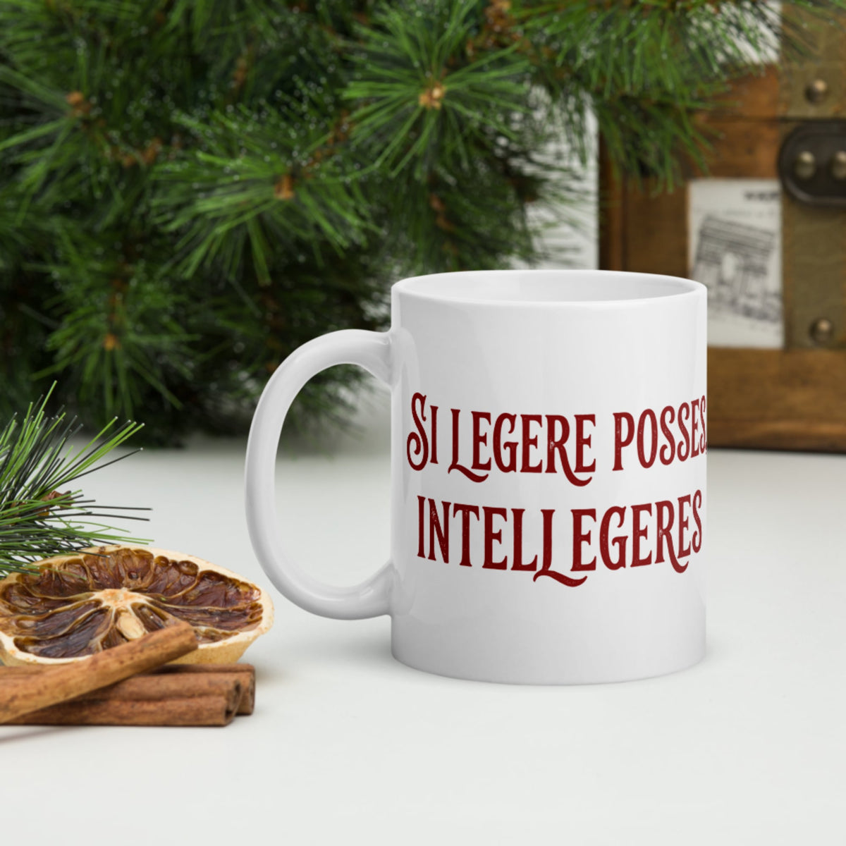 If You Could Read It You Would Understand in Latin Mug - history buff gift by HistoHead