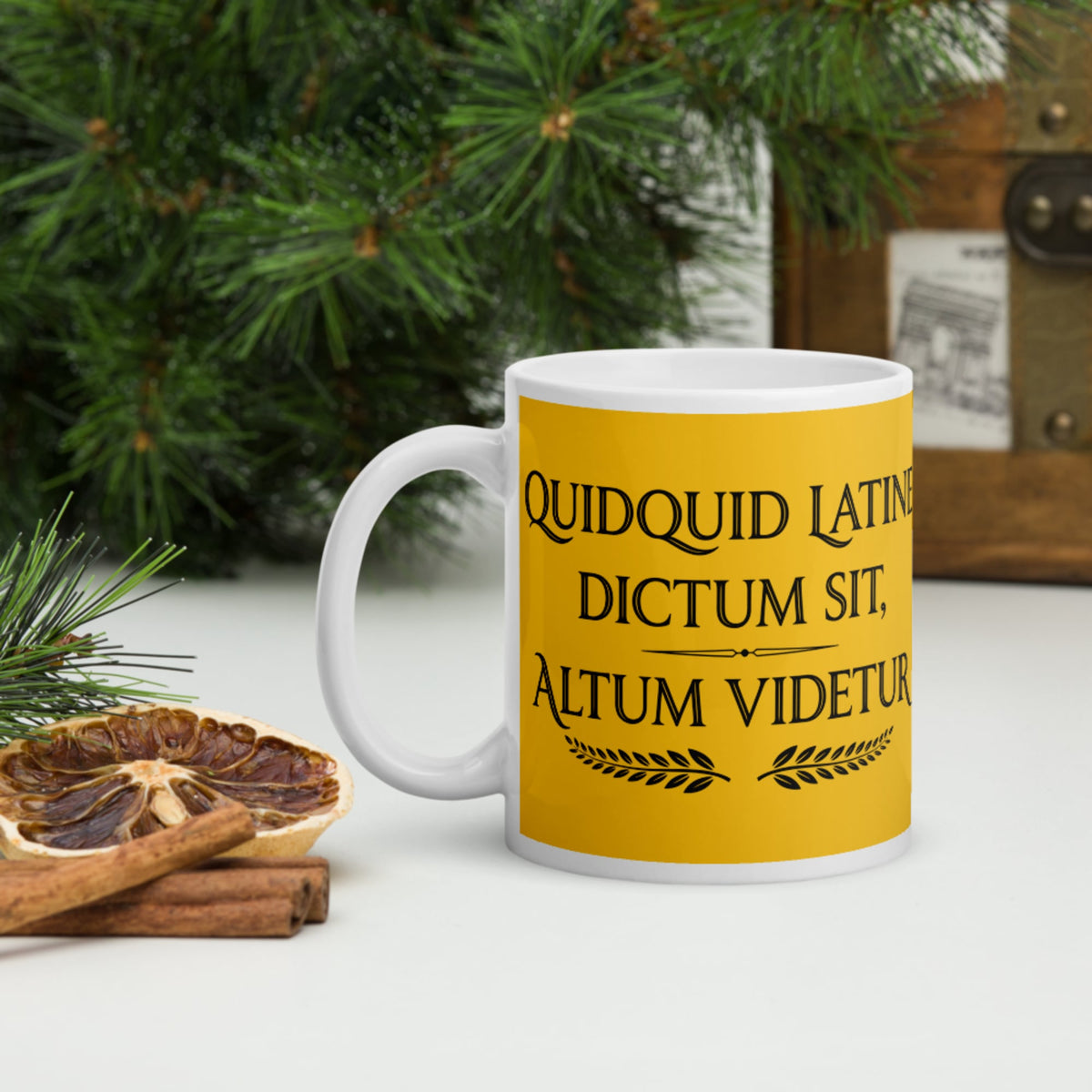 Whatever Is Said in Latin Seems Deep Mug - history buff gift by HistoHead