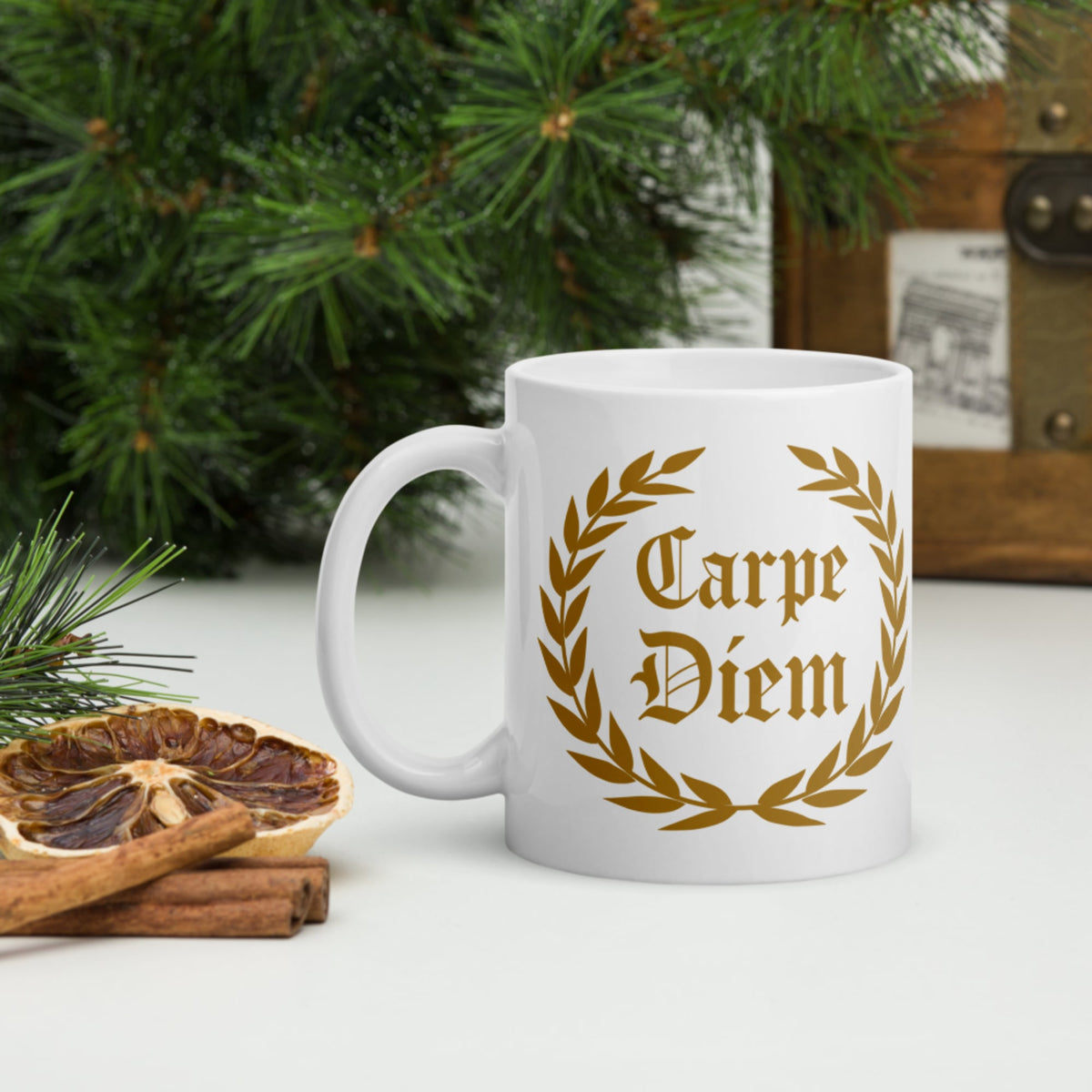 Carpe Diem Mug - history buff gift by HistoHead