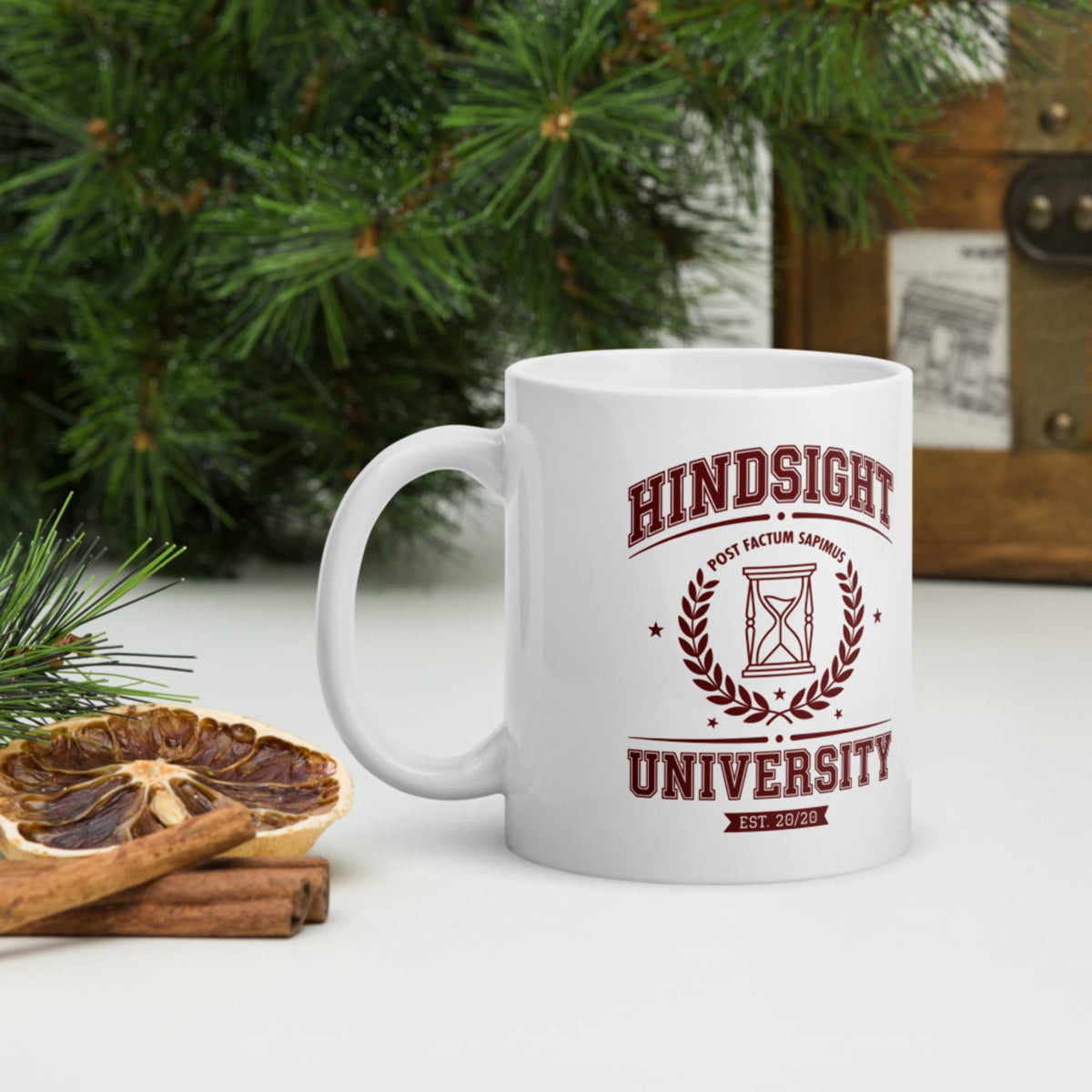 Hindsight University Mug - history buff gift by HistoHead