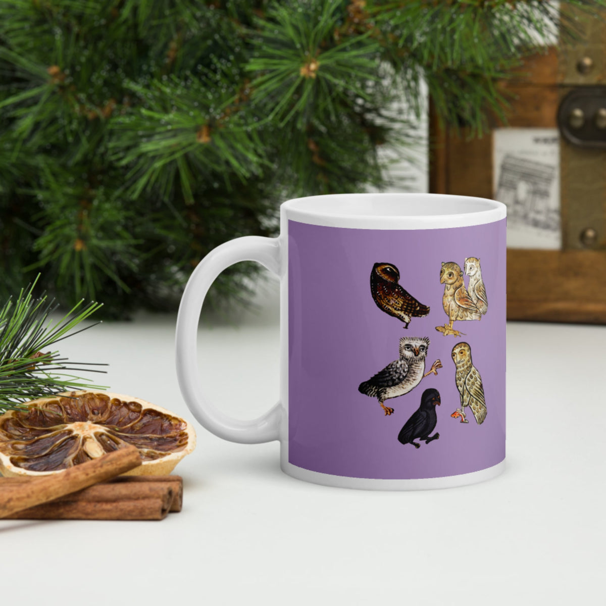 Weird Medieval Owls Mug - history buff gift by HistoHead