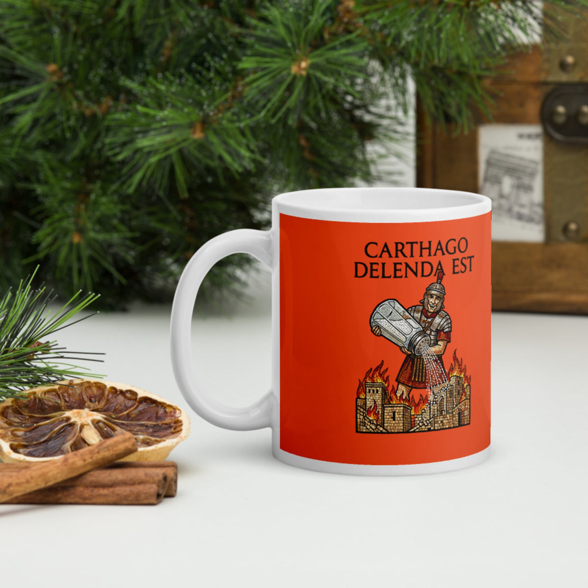 Salting Carthage Mug - history buff gift by HistoHead