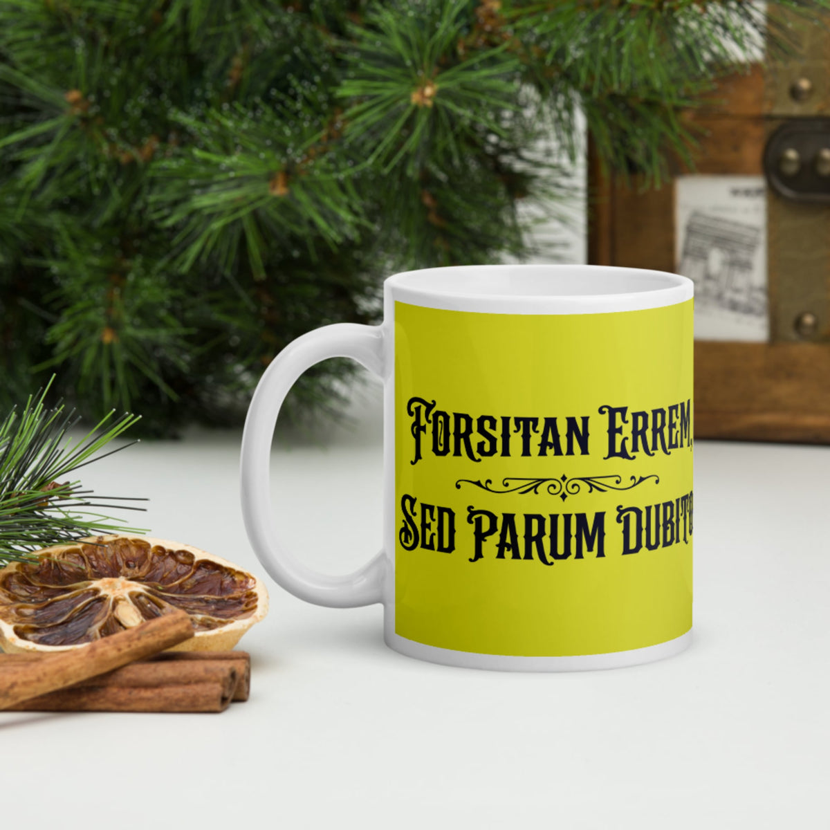 I May Be Wrong But I Doubt It in Latin Mug - history buff gift by HistoHead