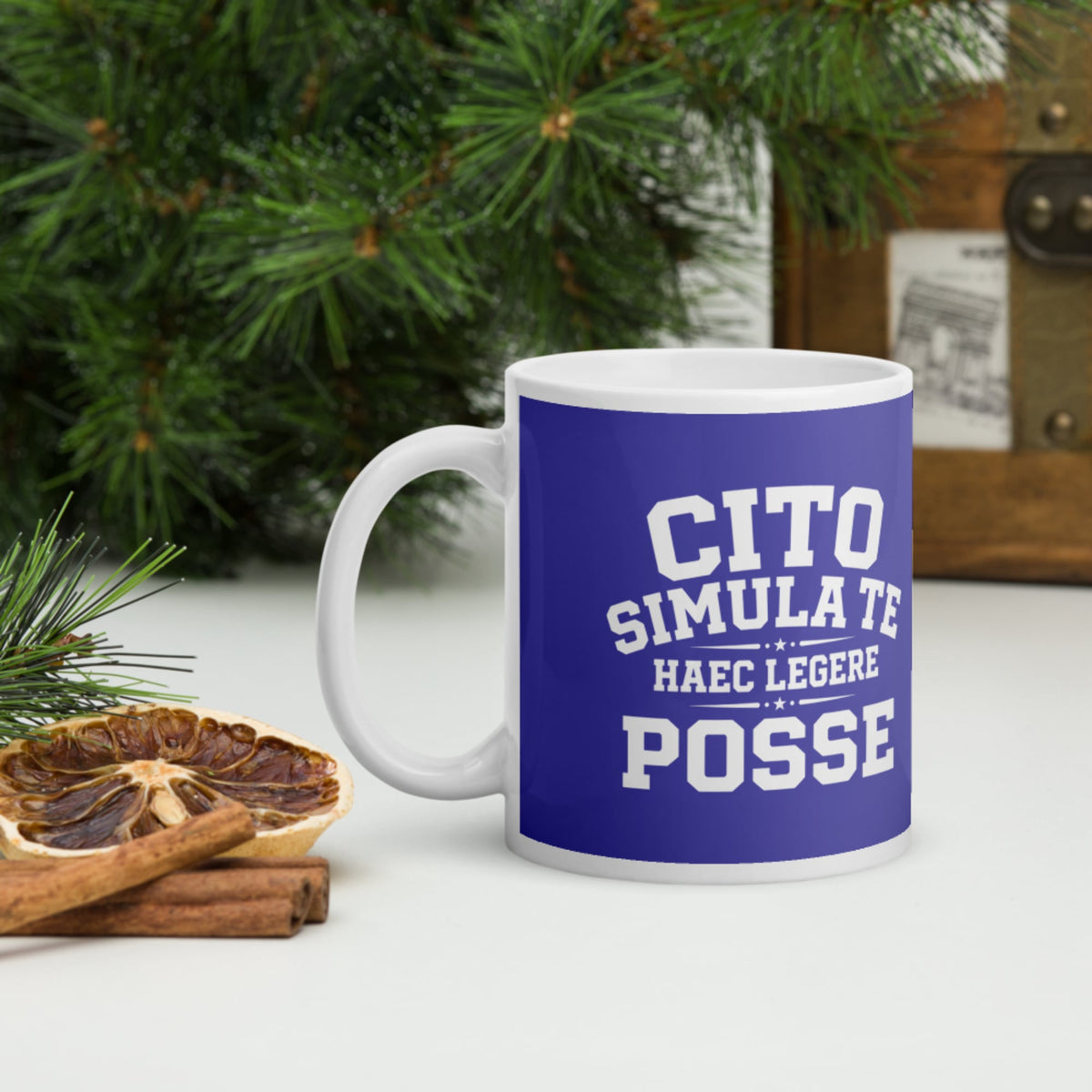 Latin Quick Pretend You Can Read This Mug - history buff gift by HistoHead
