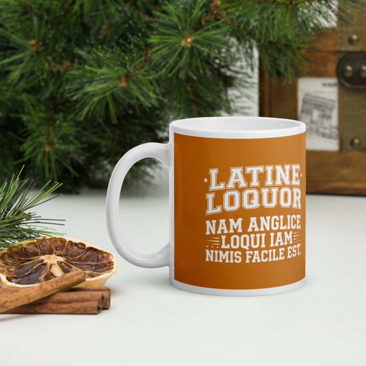 I Speak Latin Because English Is Too Easy Now Mug - history buff gift by HistoHead