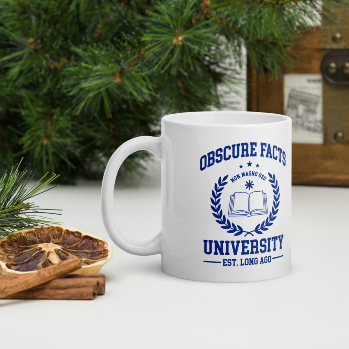 Obscure Facts University Mug - history buff gift by HistoHead