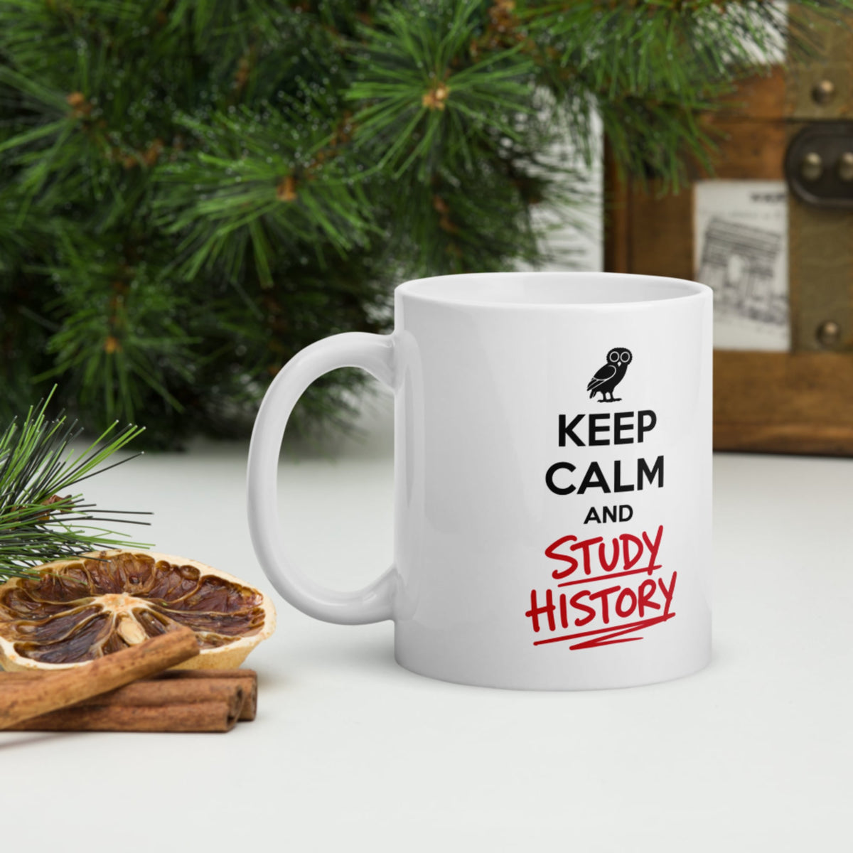 Keep Calm and Study History Mug - history buff gift by HistoHead