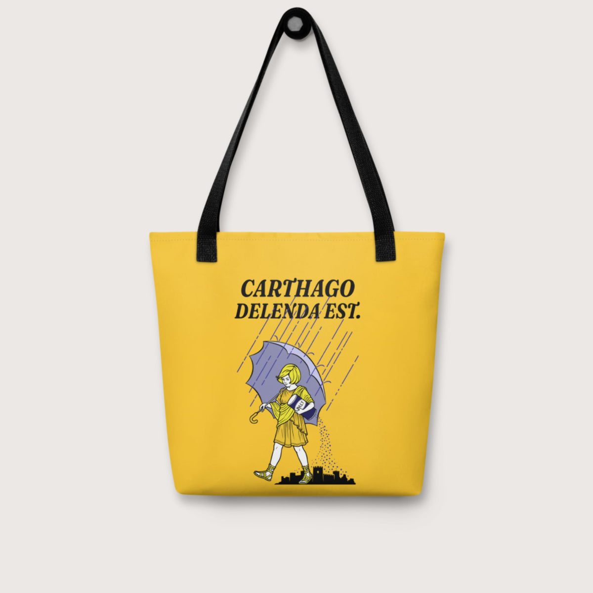 Carthago Delenda Est Salt Girl Bag - history buff gift by HistoHead