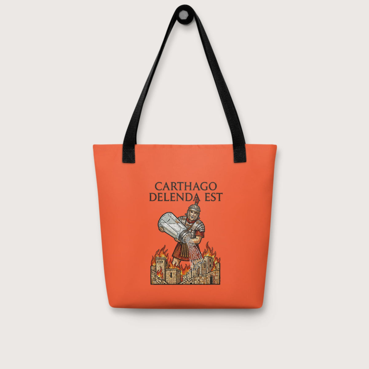 Salting Carthage Bag - history buff gift by HistoHead