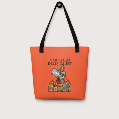Salting Carthage Bag - history buff gift by HistoHead