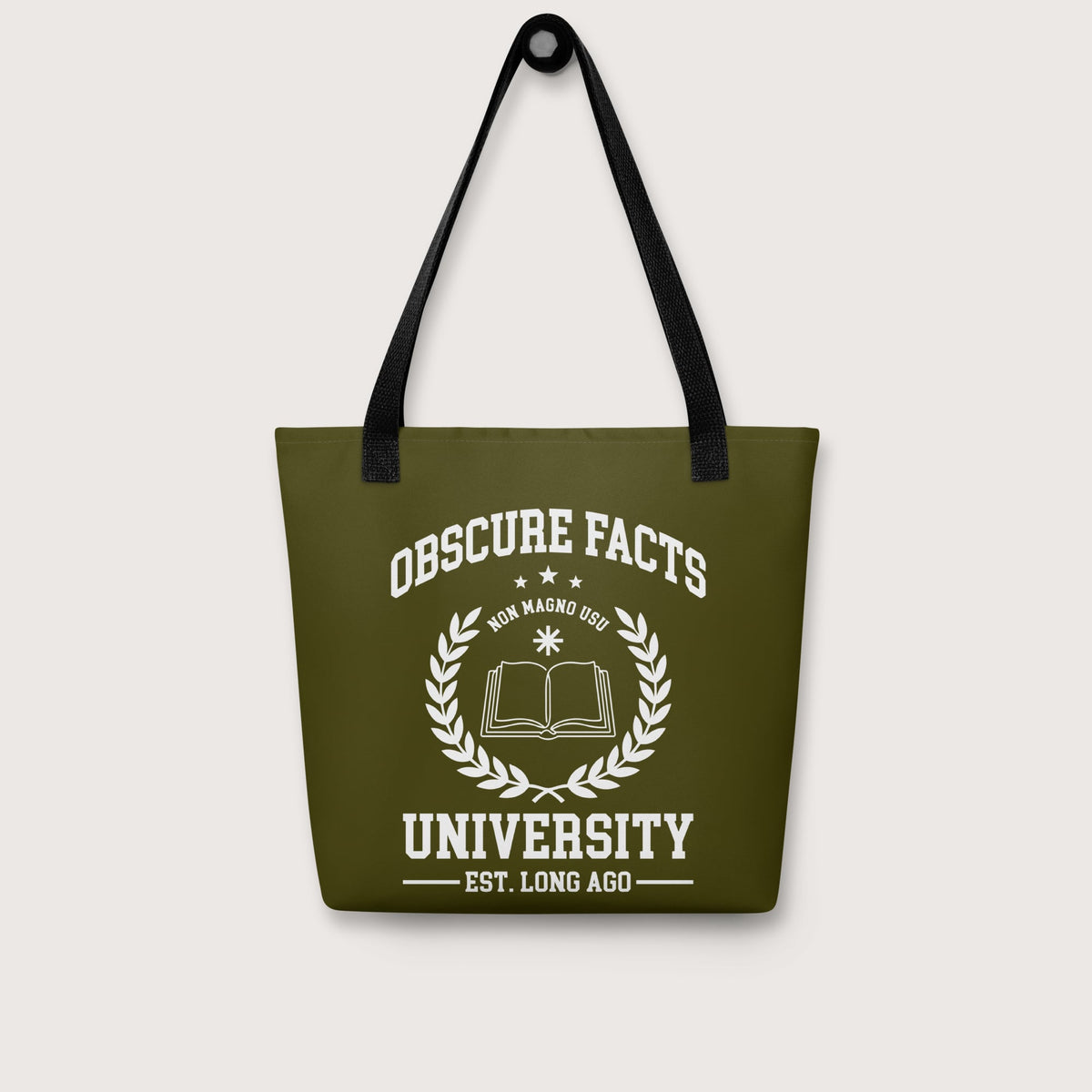 Obscure Facts University Bag - history buff gift by HistoHead