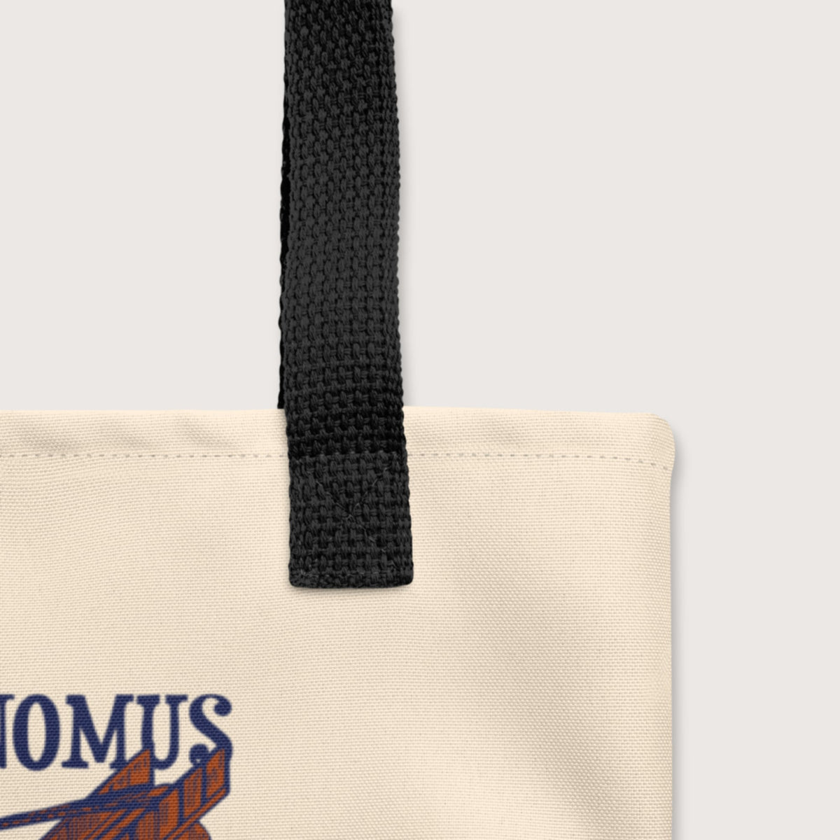 Battle of Cape Ecnomus Bag - history buff gift by HistoHead