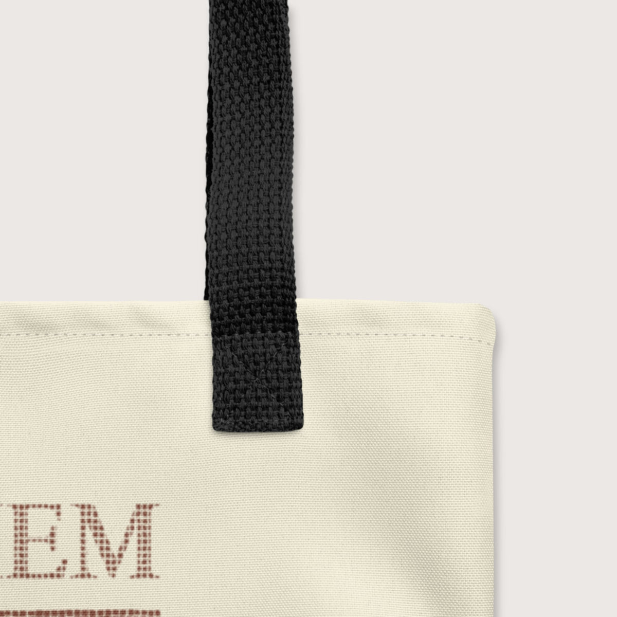 Carpe Diem Skeleton Bag - history buff gift by HistoHead