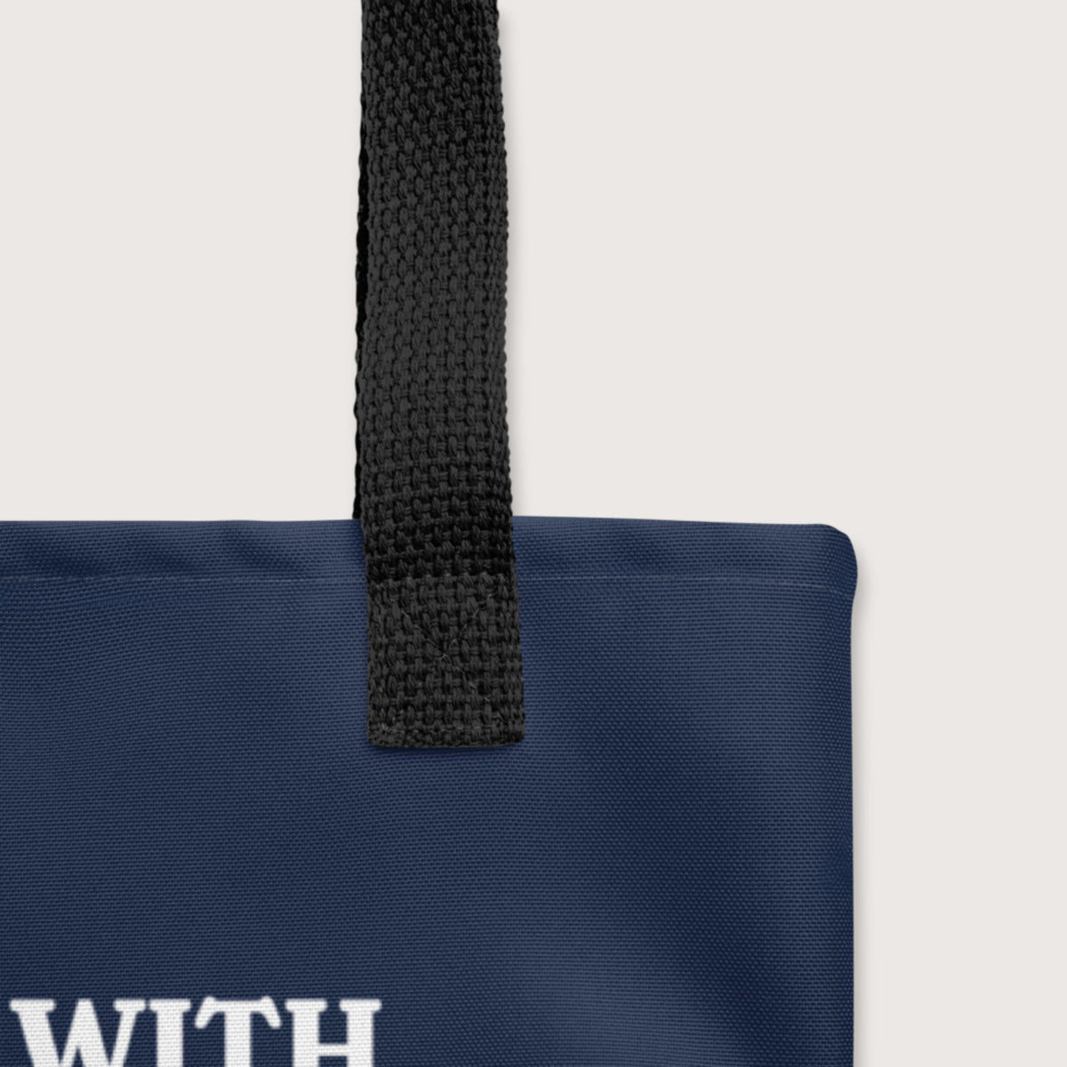 Cato's Foreign Policy Bag - history buff gift by HistoHead