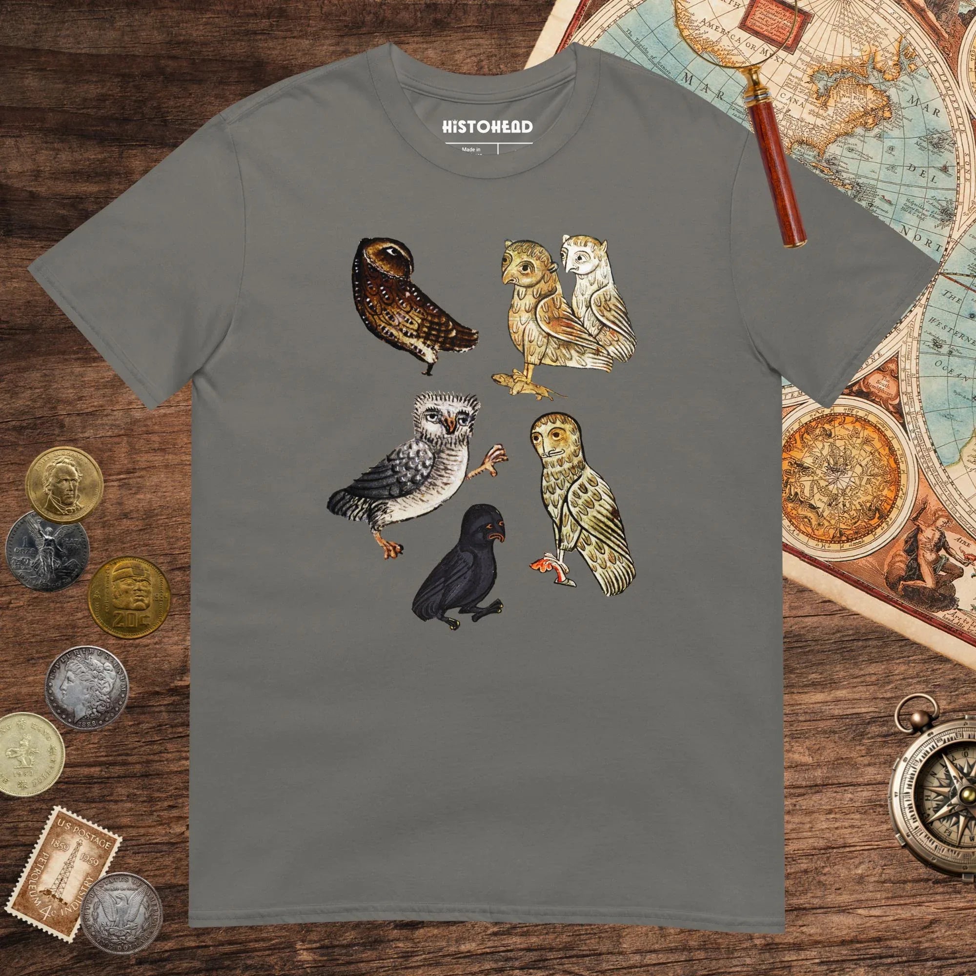 Charcoal Weird Medieval Owls Tee - history buff gift by HistoHead