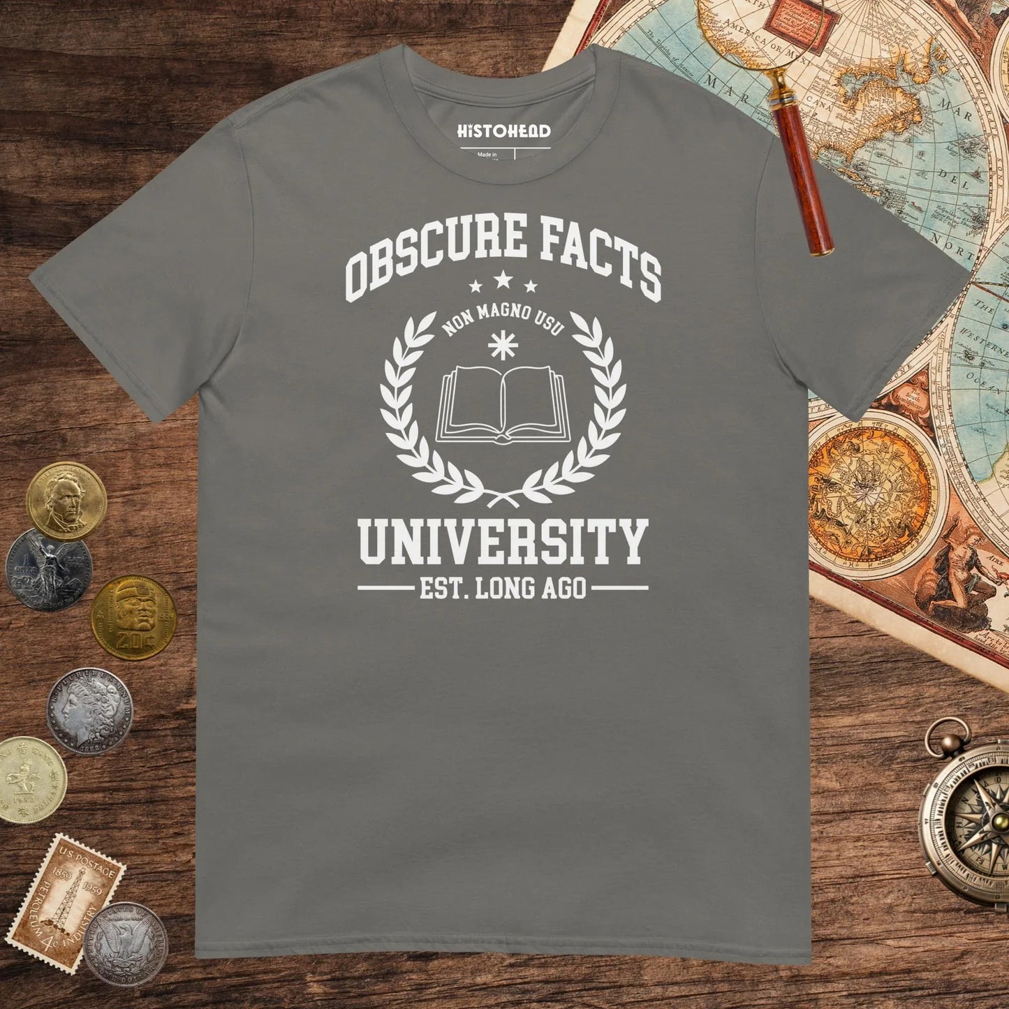 Charcoal Obscure Facts University Tee - history buff gift by HistoHead