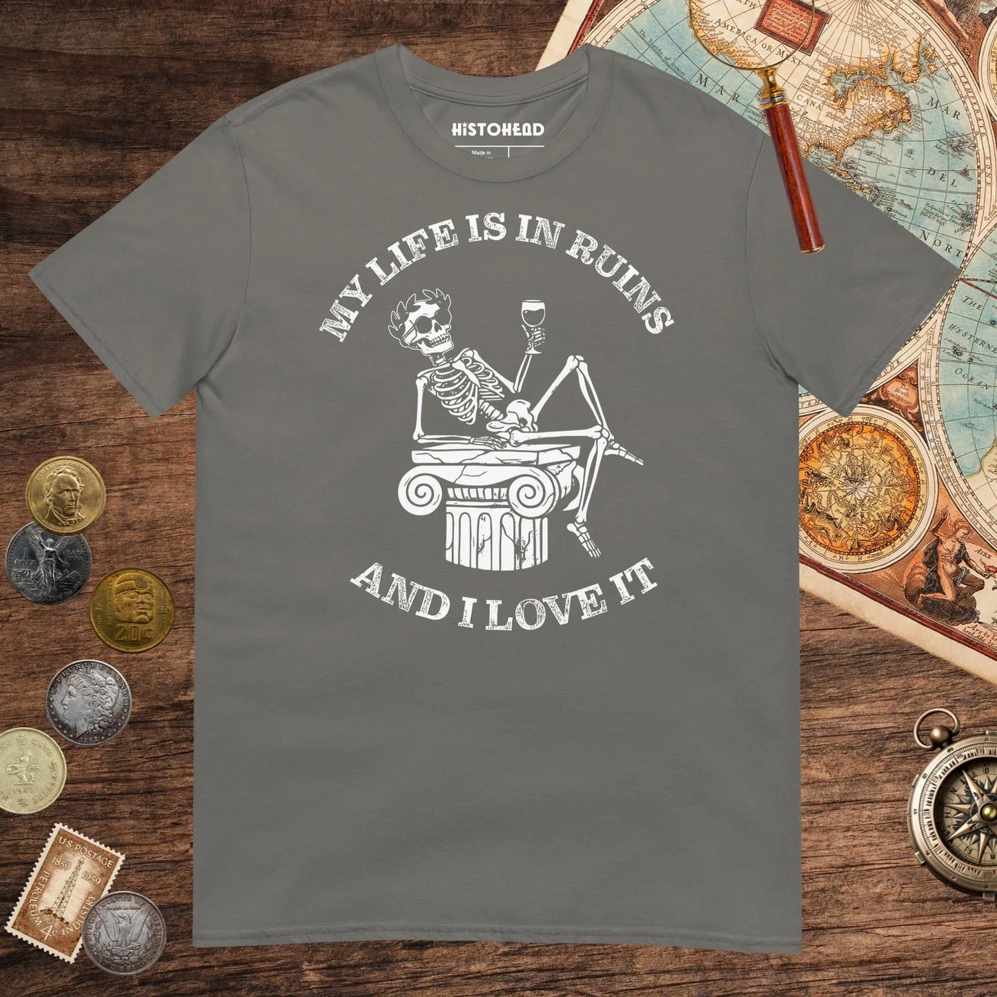 Charcoal My Life is in Ruins Tee - history buff gift by HistoHead