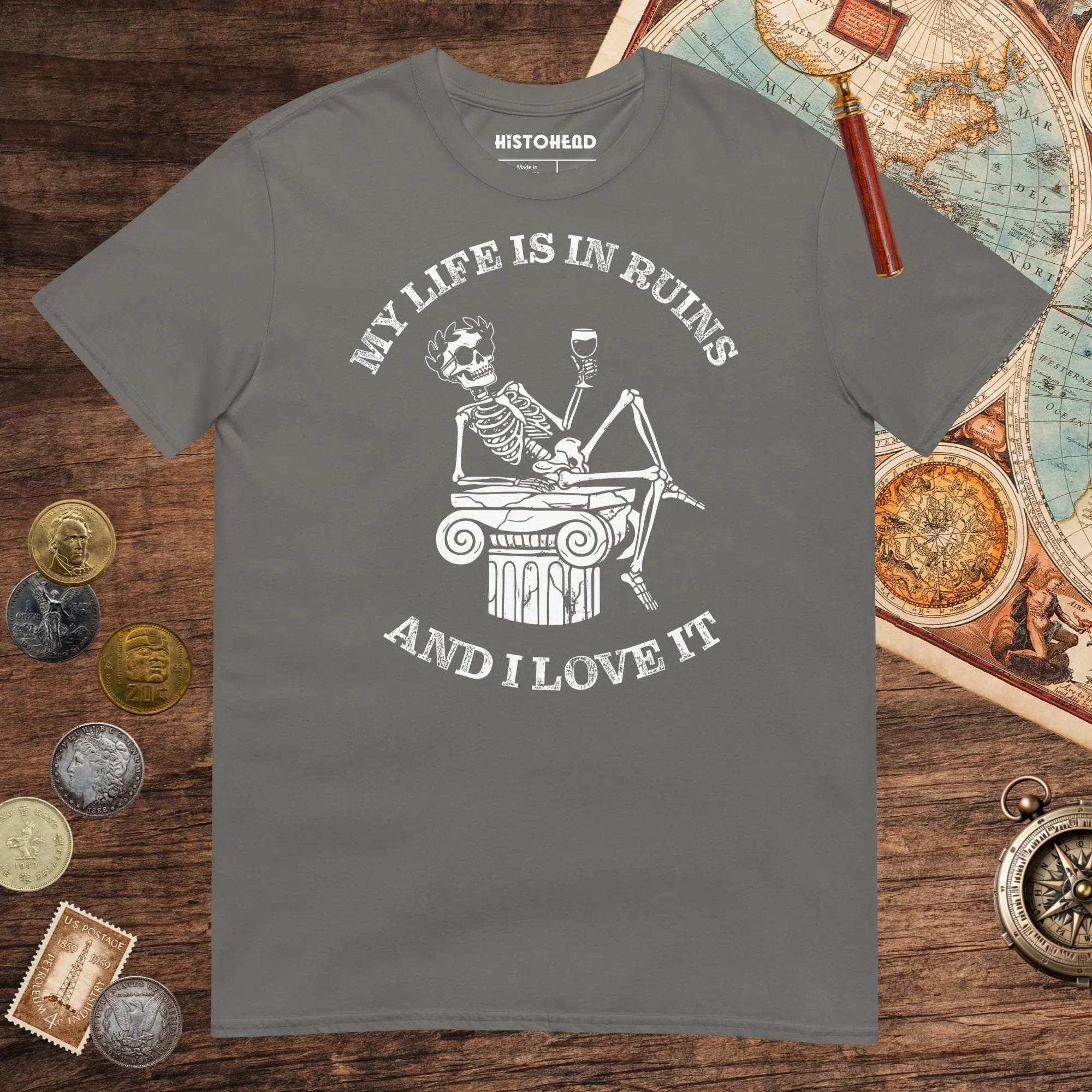 Charcoal My Life is in Ruins Tee - history buff gift by HistoHead
