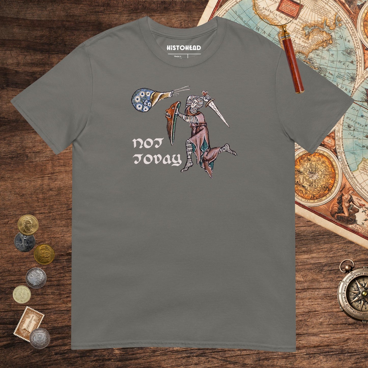Charcoal Not Today Snail Tee - history buff gift by HistoHead