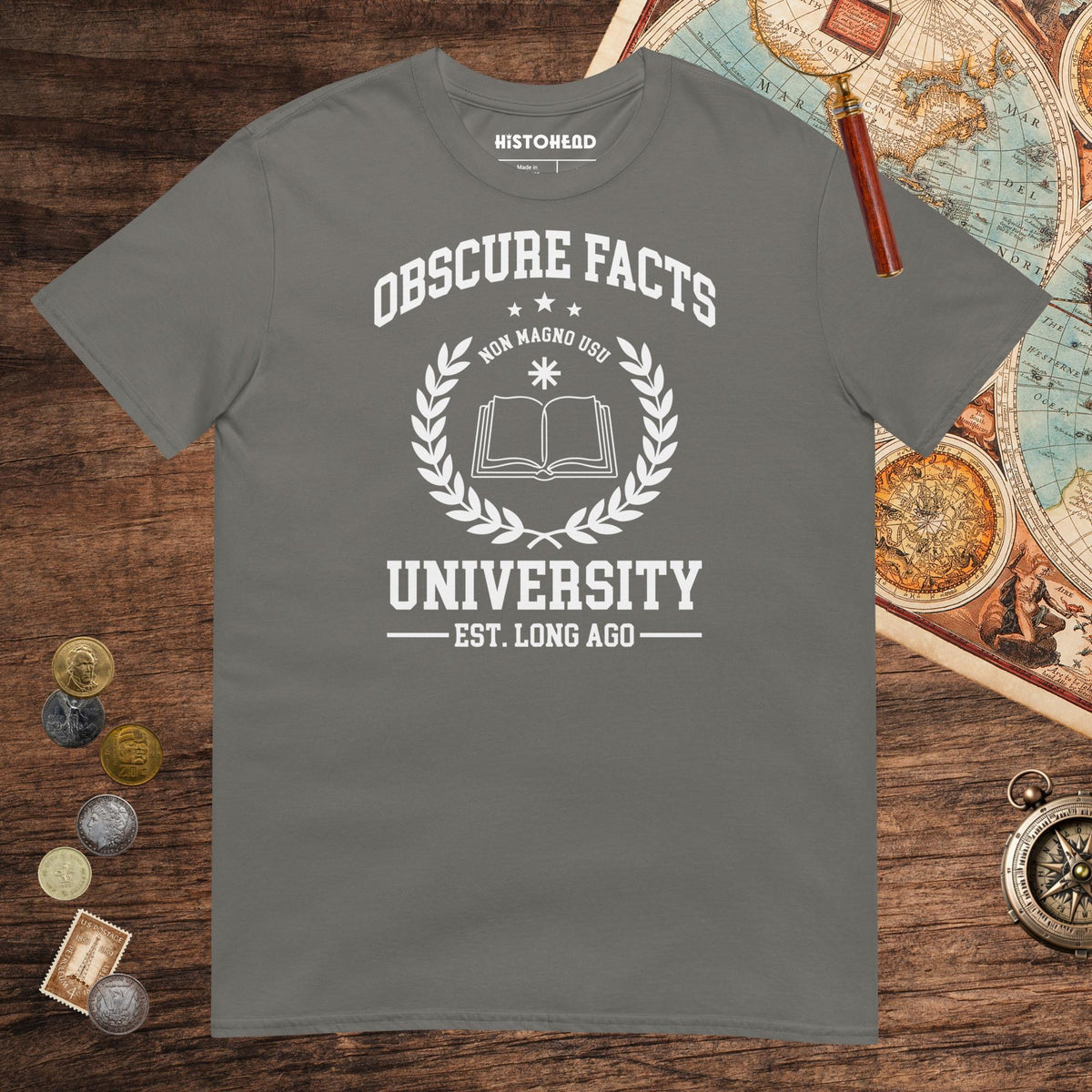 Charcoal Obscure Facts University Tee - history buff gift by HistoHead