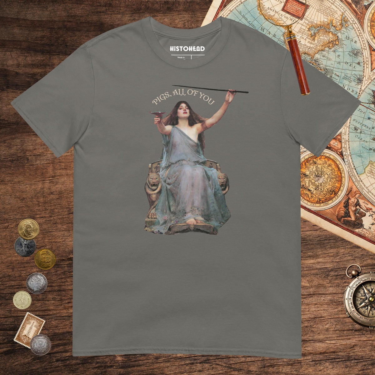 Charcoal Circe Pigs All of You Tee - history buff gift by HistoHead