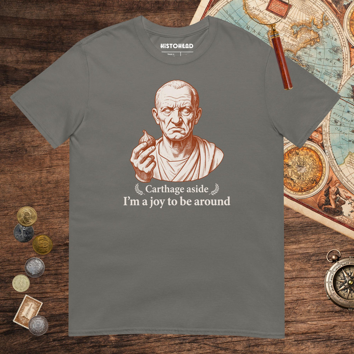 Charcoal Cato Carthage Aside I'm a Joy to Be Around Tee - history buff gift by HistoHead