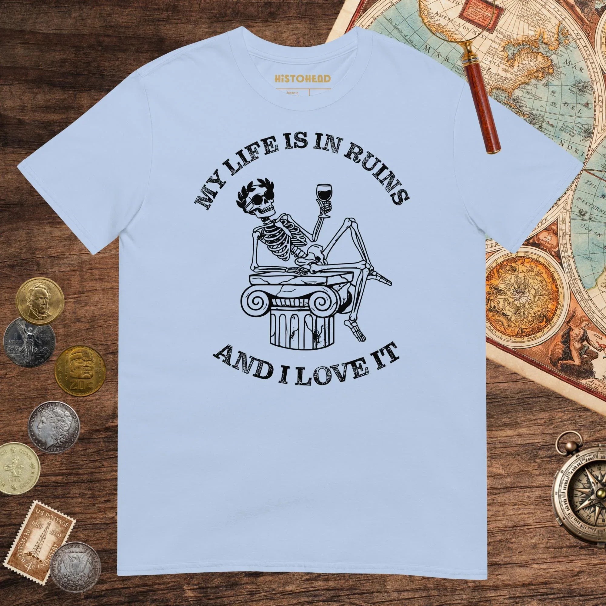 Light Blue My Life is in Ruins Tee - history buff gift by HistoHead