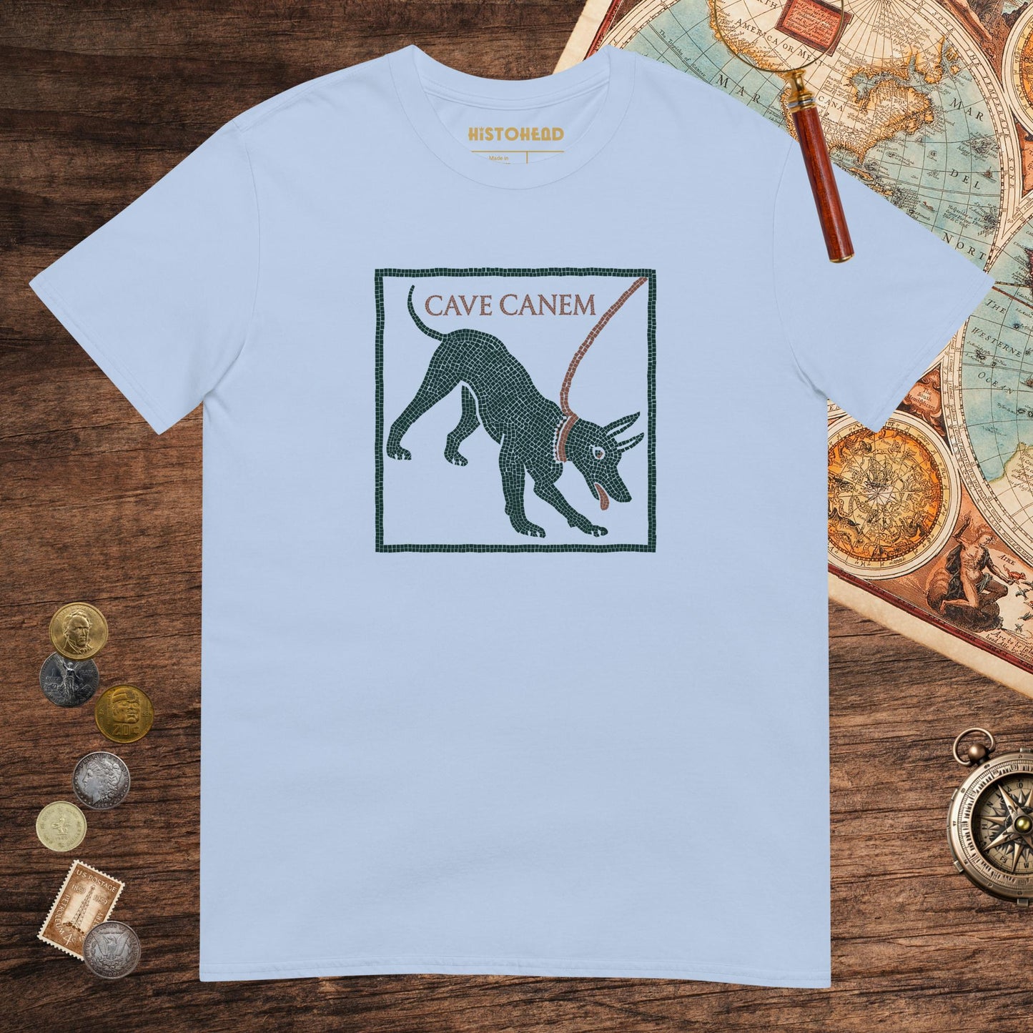 Light Blue Cave Canem Pompeii Mosaic Tee - history buff gift by HistoHead