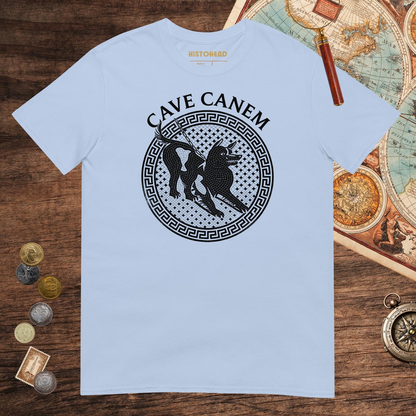 Light Blue Cave Canem Tee - history buff gift by HistoHead