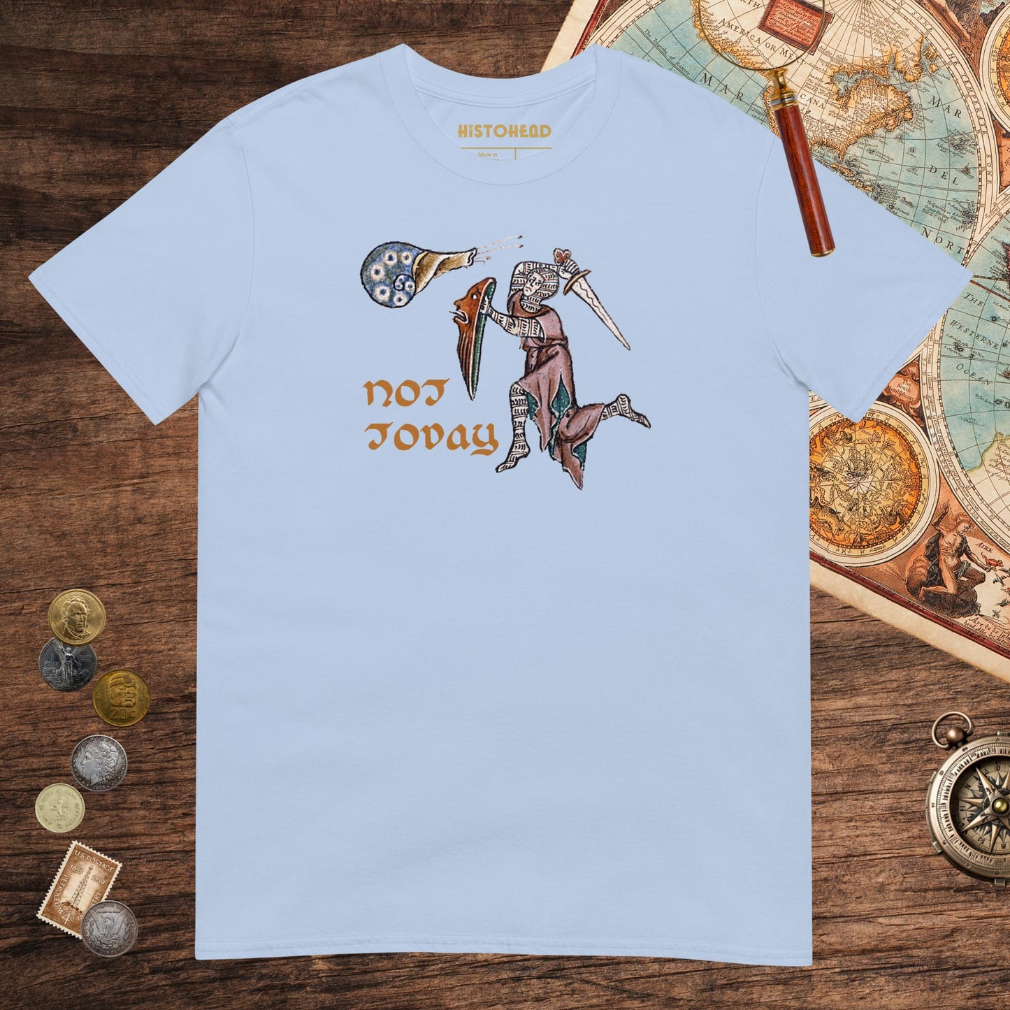 Light Blue Not Today Snail Tee - history buff gift by HistoHead