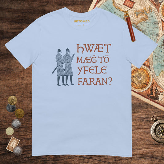 Light Blue What Could Possibly Go Wrong in Old English Tee - history buff gift by HistoHead