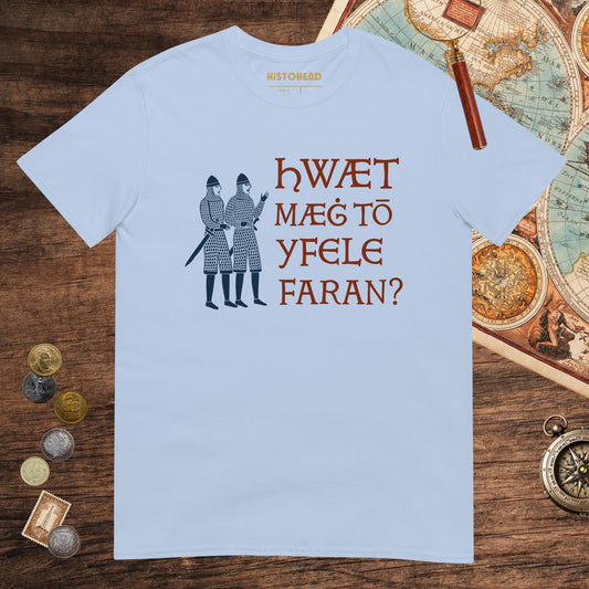 Light Blue What Could Possibly Go Wrong in Old English Tee - history buff gift by HistoHead