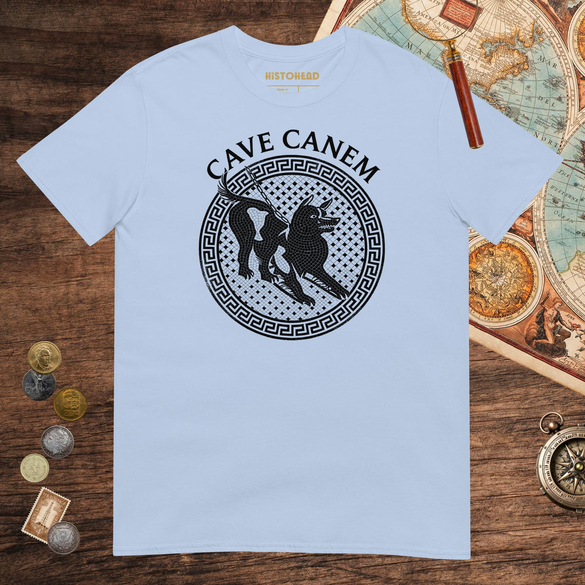 Light Blue Cave Canem Tee - history buff gift by HistoHead