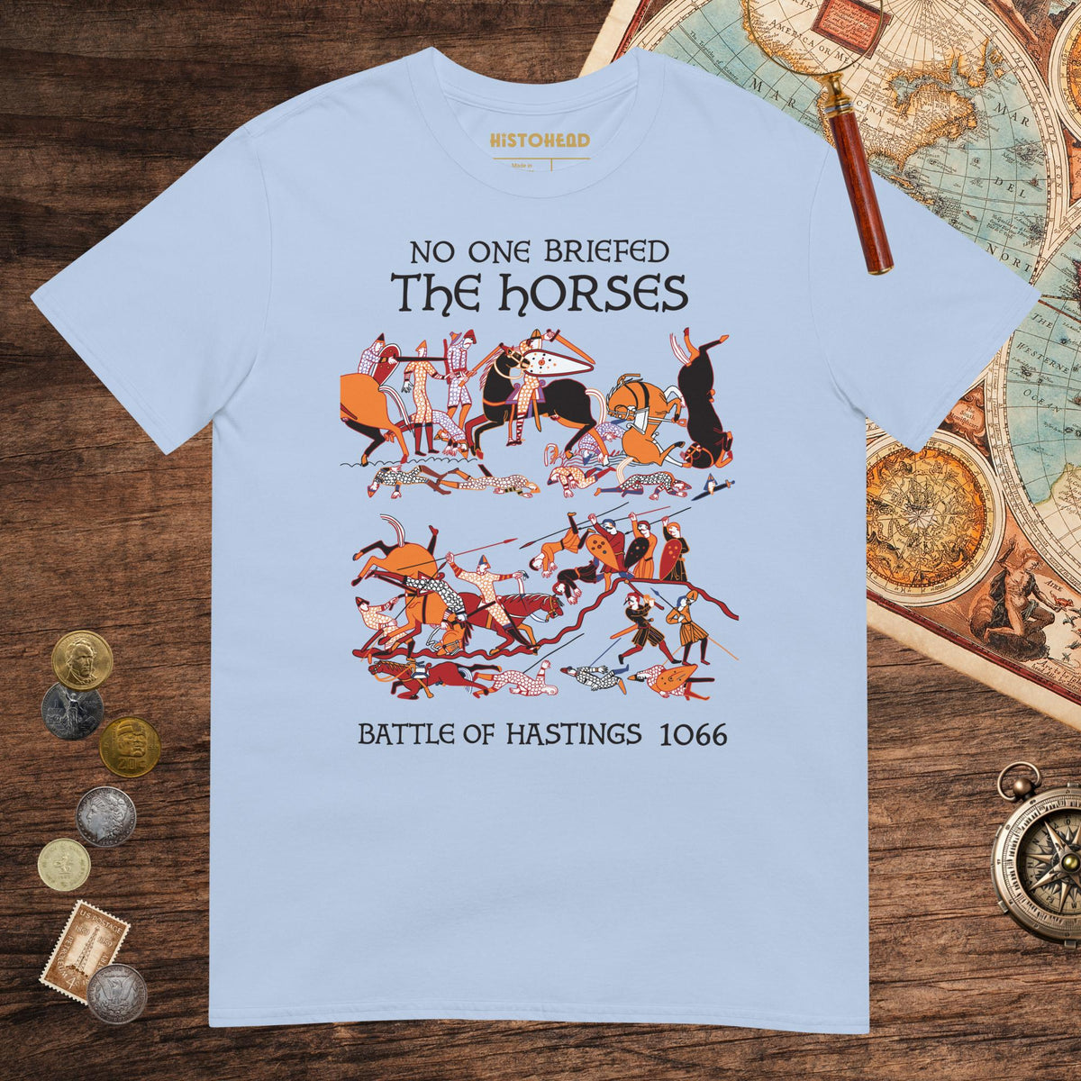 Light Blue Bayeux Tapestry No One Briefed the Horses Tee - history buff gift by HistoHead