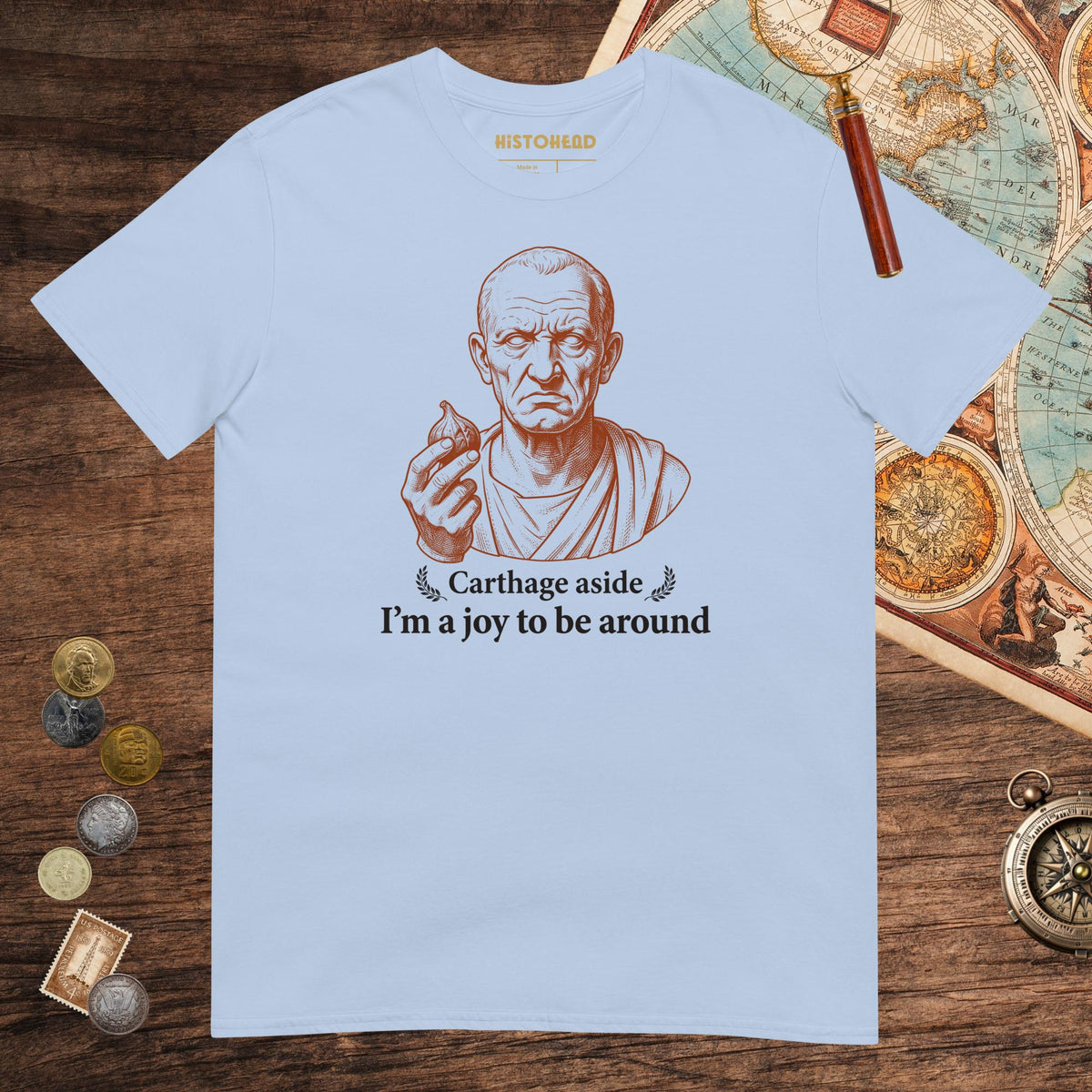 Light Blue Cato Carthage Aside I'm a Joy to Be Around Tee - history buff gift by HistoHead