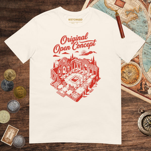 Natural Original Open Concept Tee - history buff gift by HistoHead