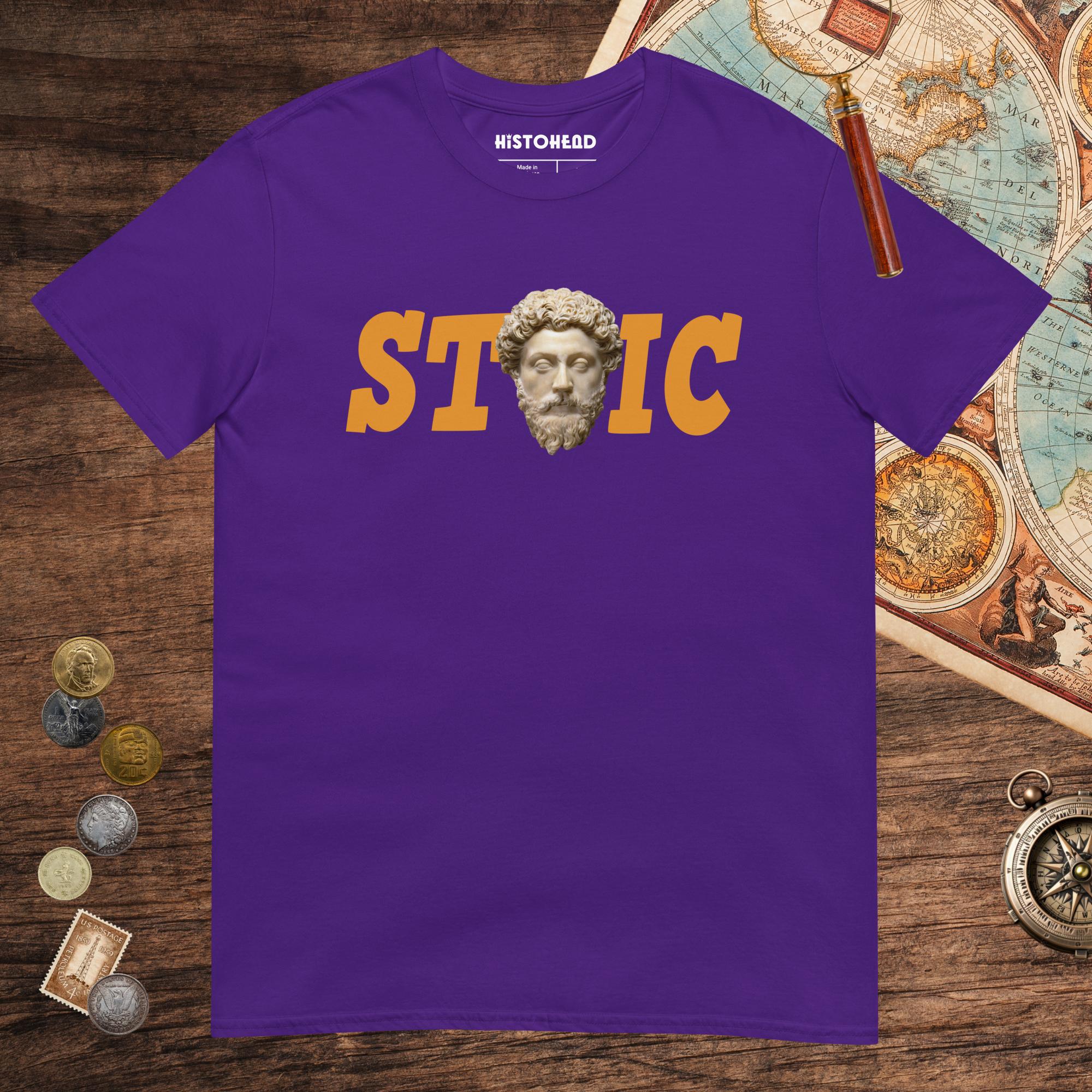 Purple Stoic Marcus Aurelius Tee - history buff gift by HistoHead