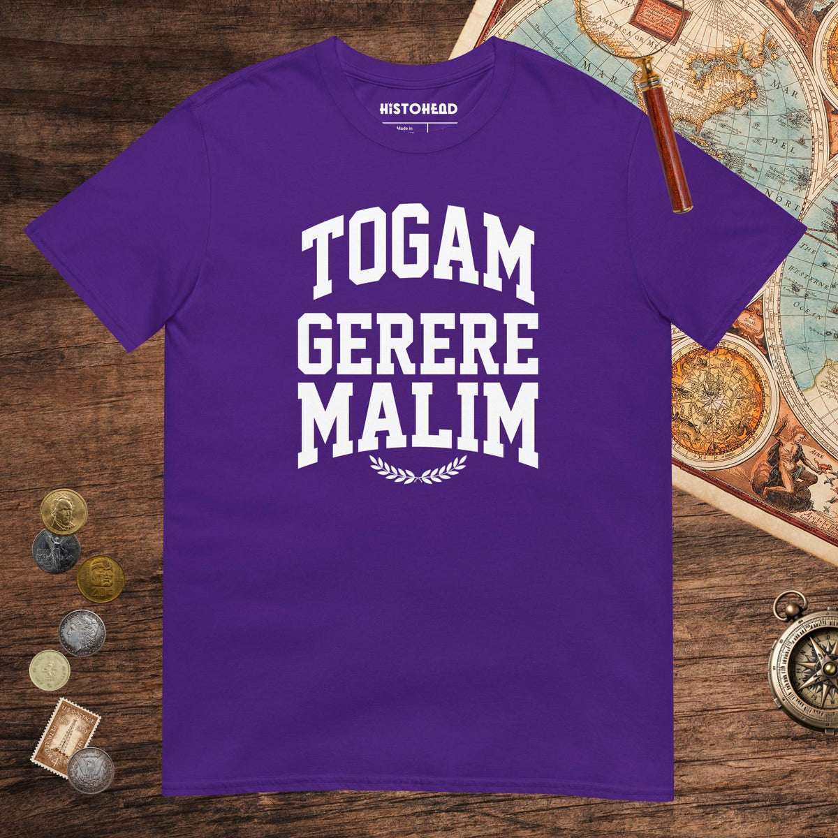 Purple Latin I'd Rather Be Wearing A Toga Tee - history buff gift by HistoHead
