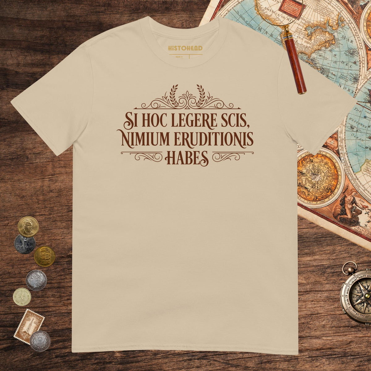 Sand If You Can Read This You Have Too Much Education in Latin Tee - history buff gift by HistoHead