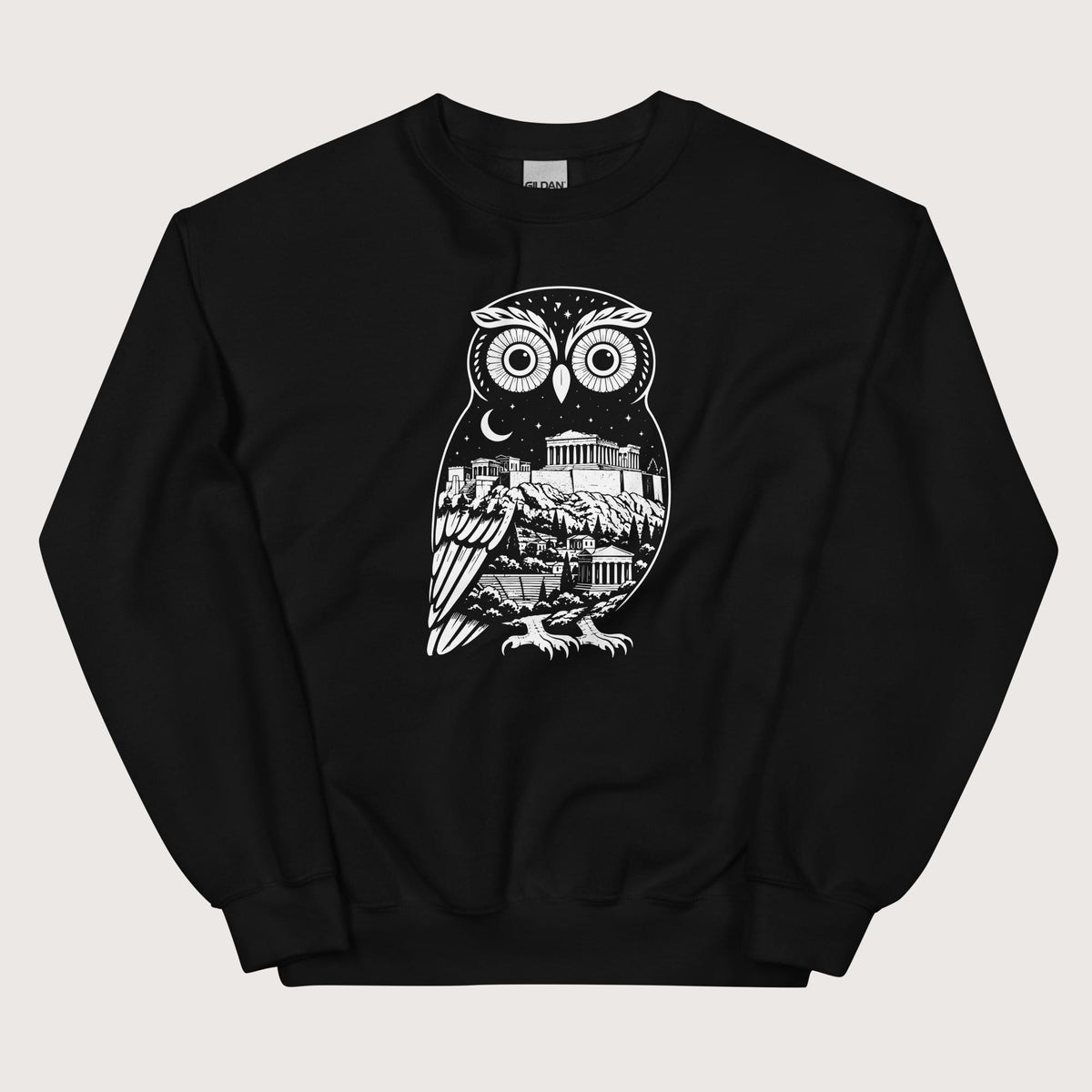 Black Athena Owl Sweatshirt - history buff gift by HistoHead