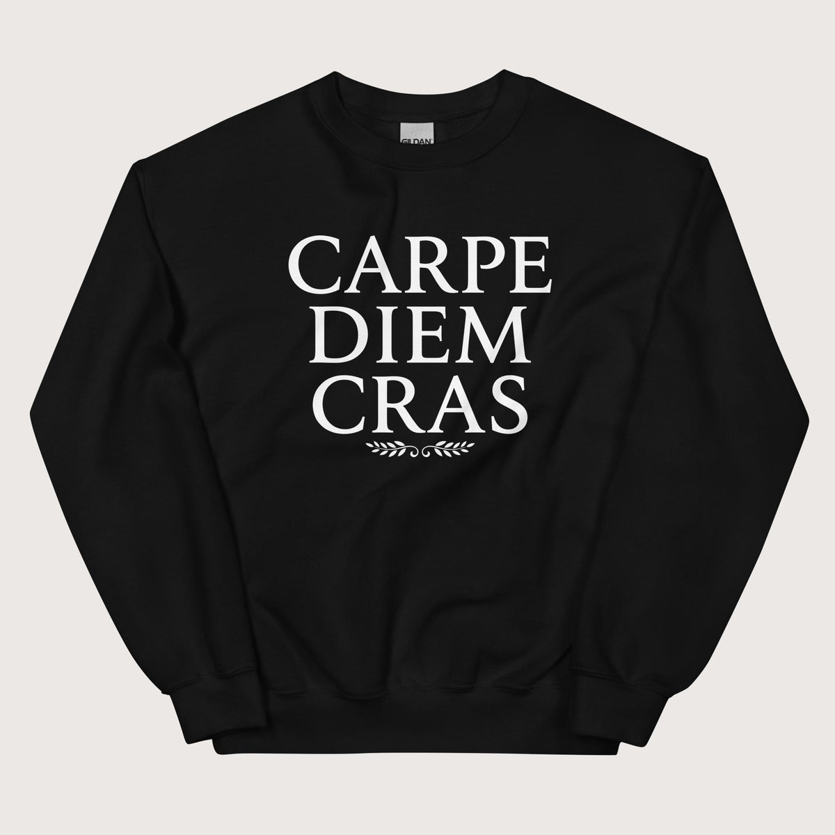Black Seize the Day Tomorrow in Latin Sweatshirt - history buff gift by HistoHead