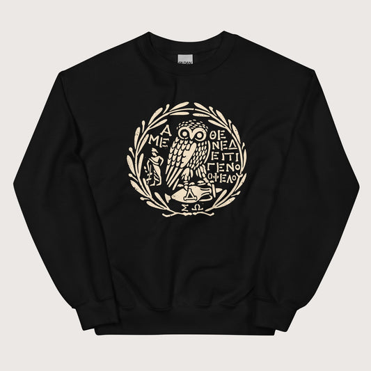 Black Owl of Athena 2 Sweatshirt - history buff gift by HistoHead